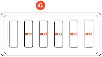 g