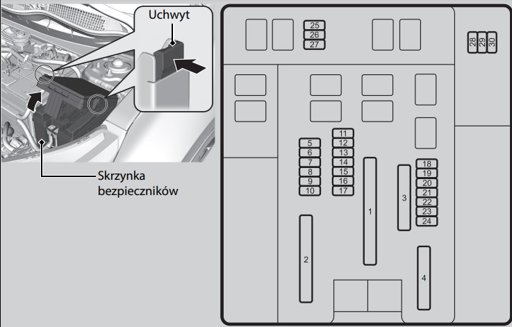 Compartiment motor
