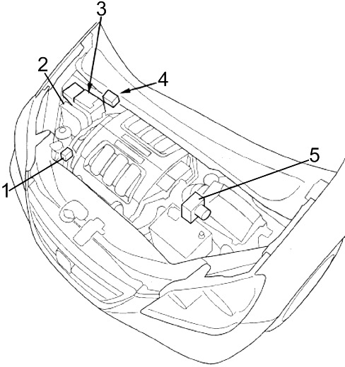 Motor