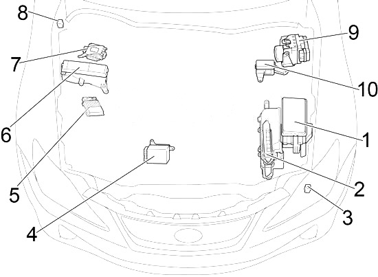 Motor