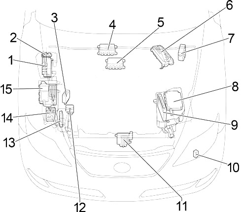 Motor