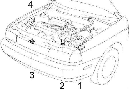 Motor