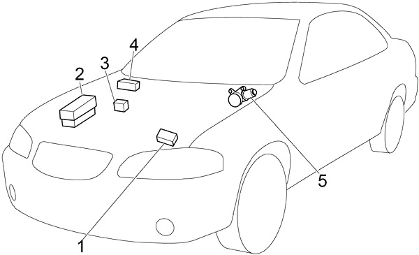 Motor